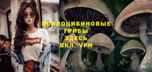 тгк Баксан