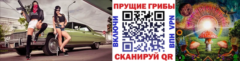 Галлюциногенные грибы GOLDEN TEACHER Плёс